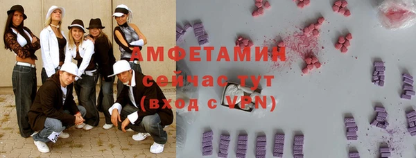 спиды Богородицк