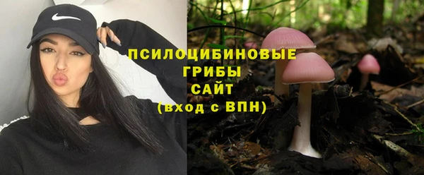 не бодяженный Богородск