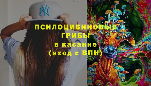 2c-b Верхнеуральск