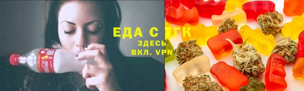спиды Богородицк