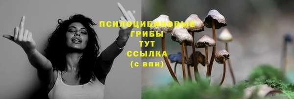 2c-b Верхнеуральск
