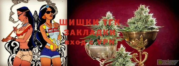 спиды Богородицк