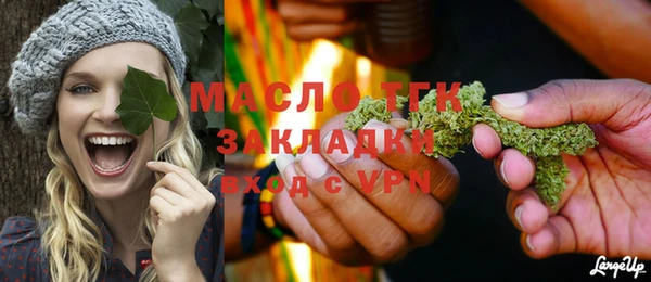 спиды Богородицк