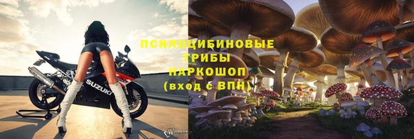 стаф Верея