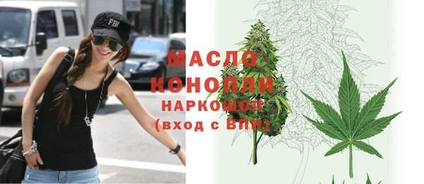 спиды Богородицк