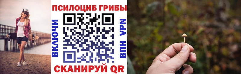 Псилоцибиновые грибы Psilocybe  Светогорск 